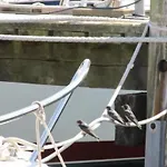 Vogelsang By Interhome Kappeln