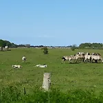 Vogelsang By Interhome Διαμέρισμα Kappeln