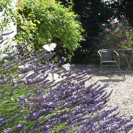 Vogelsang By Interhome Lejlighed Kappeln