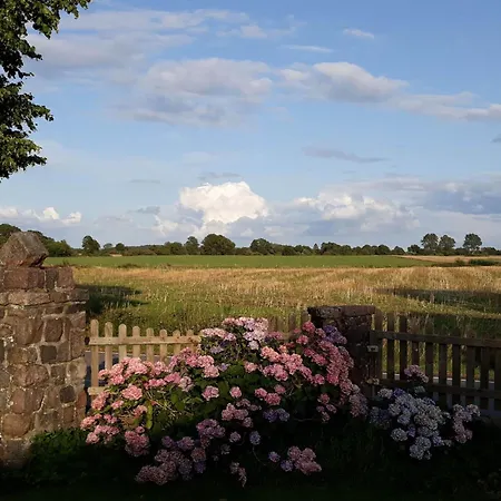 Vogelsang By Interhome