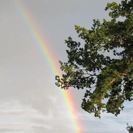 Vogelsang By Interhome