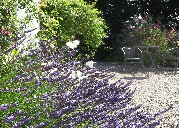 Vogelsang By Interhome Lejlighed Kappeln