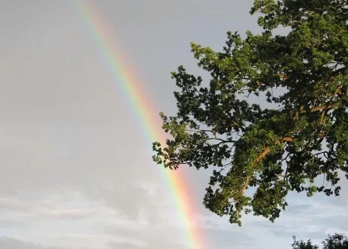 Vogelsang By Interhome