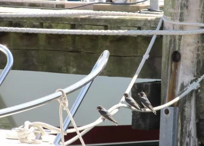 Vogelsang By Interhome Kappeln