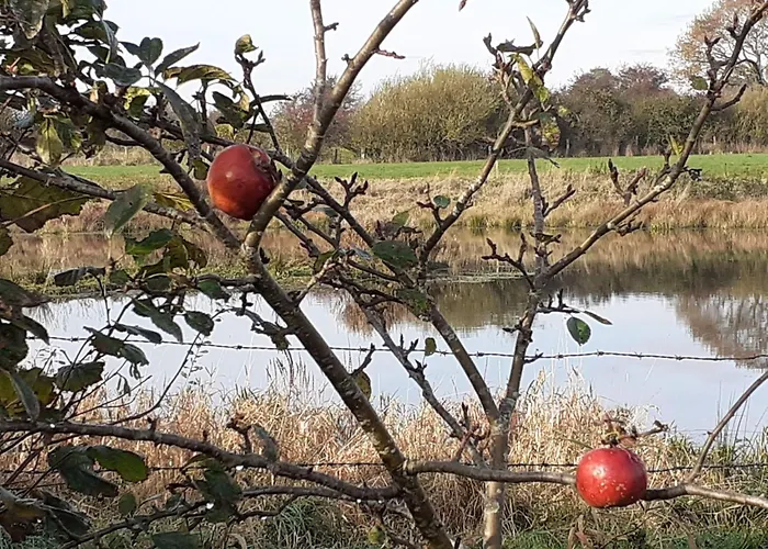 Vogelsang By Interhome *